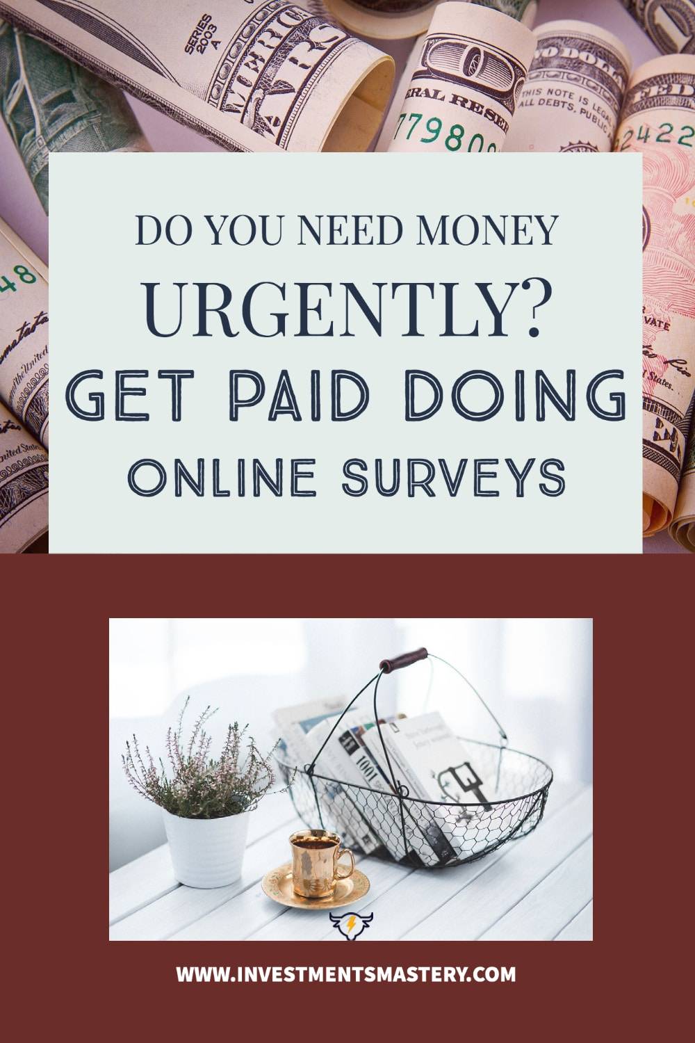 EARN MONEY WITH SURVEYS visual data 8